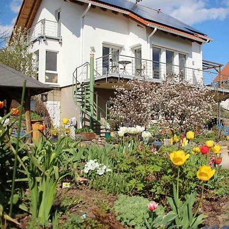 Ferienwohnung Dr. Vera Schmidt 크라이샤 외부 사진